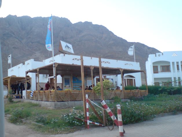 Dahab_Tauchurlaub_Sep07 002d1a.jpg (43535 Byte)