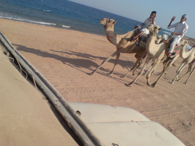 Dahab_Tauchurlaub_Sep07 002m7.jpg (41233 Byte)