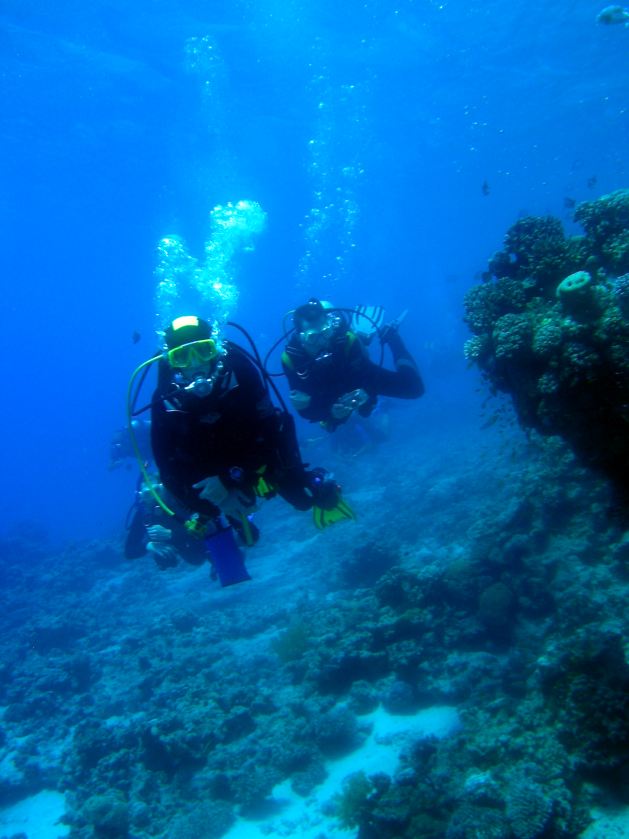 Dahab_Tauchurlaub_Sep07 012.jpg (58747 Byte)