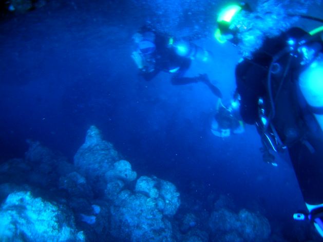 Dahab_Tauchurlaub_Sep07 017.jpg (31889 Byte)