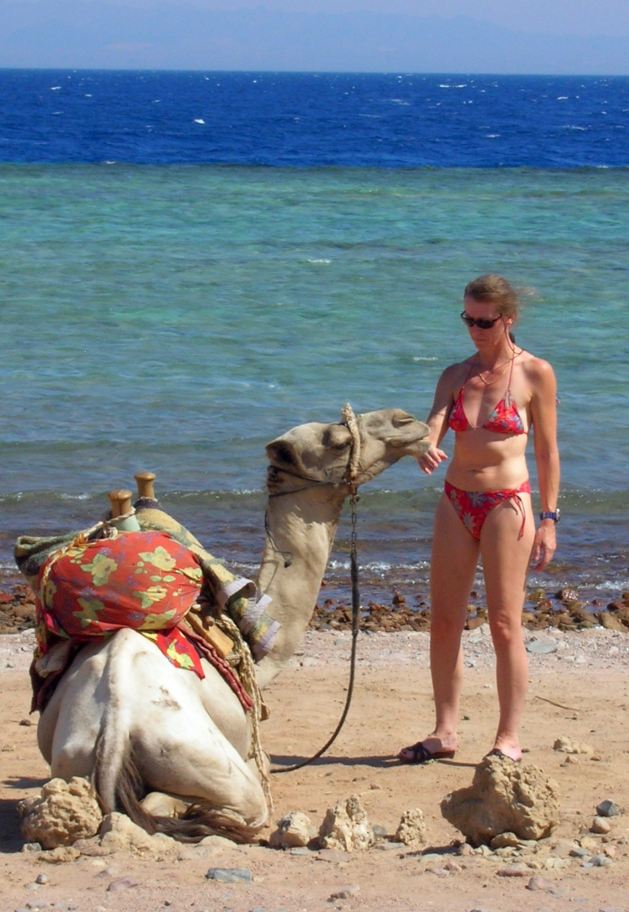 Dahab_Tauchurlaub_Sep07 050.jpg (93899 Byte)