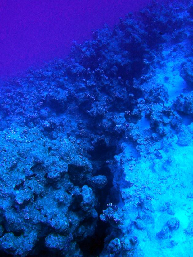 Dahab_Tauchurlaub_Sep07 064.jpg (101413 Byte)