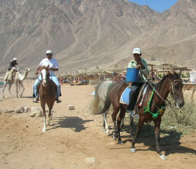 Dahab_Tauchurlaub_Sep07 091ab.jpg (69464 Byte)