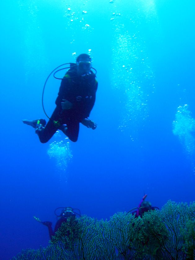 Dahab_Tauchurlaub_Sep07 118.jpg (49249 Byte)