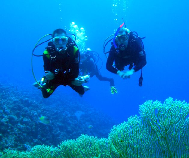 Dahab_Tauchurlaub_Sep07 120.jpg (48127 Byte)